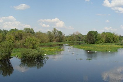 2_003_g_Pultusk_ nad_Narwia